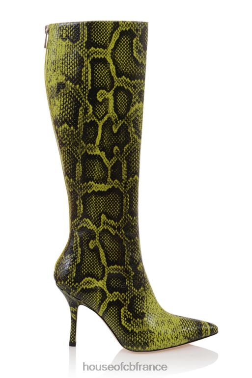 House of CB bottes hauteur genou imprimées vertes royales N888H1071 chaussures