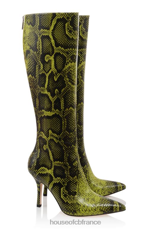 House of CB bottes hauteur genou imprimées vertes royales N888H1071 chaussures