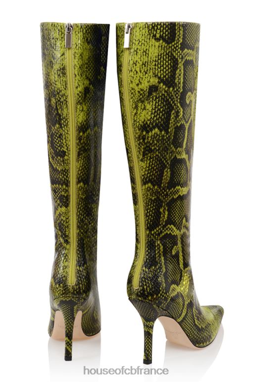 House of CB bottes hauteur genou imprimées vertes royales N888H1071 chaussures