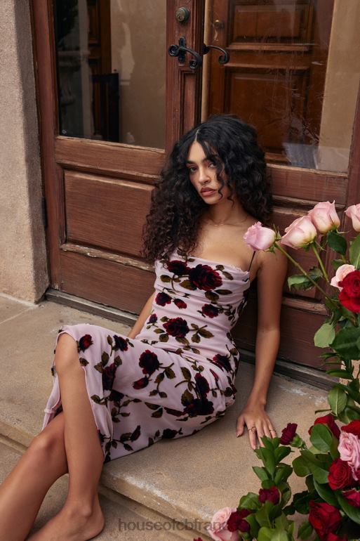 House of CB robe midi dévorée rose azura N888H302 vêtements