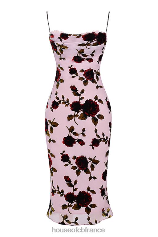 House of CB robe midi dévorée rose azura N888H302 vêtements